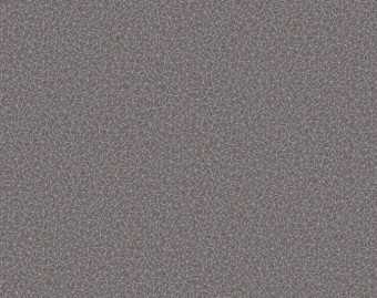 [200111120_42] Taralay Initial Compact - 0973 Spider Alu